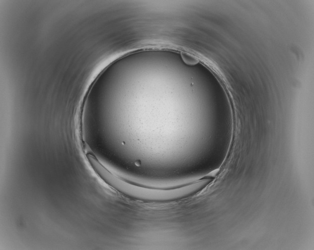 X0000112881440200909041632