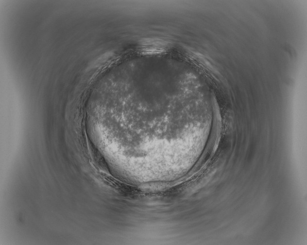 X0000112881441200909041632