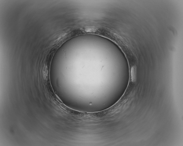 X0000112881443200909041632