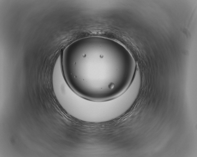 X0000112881444200909041632