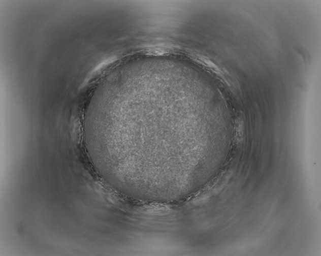 X0000112881446200909041632