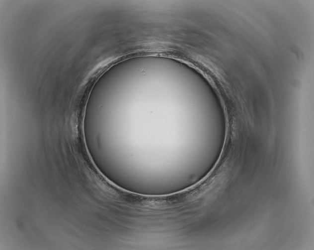 X0000112881451200909041632