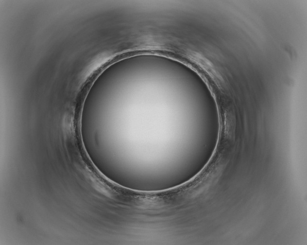 X0000112881452200909041632