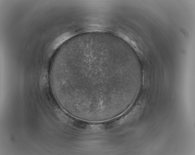 X0000112881453200909041632