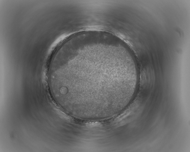 X0000112881454200909041632