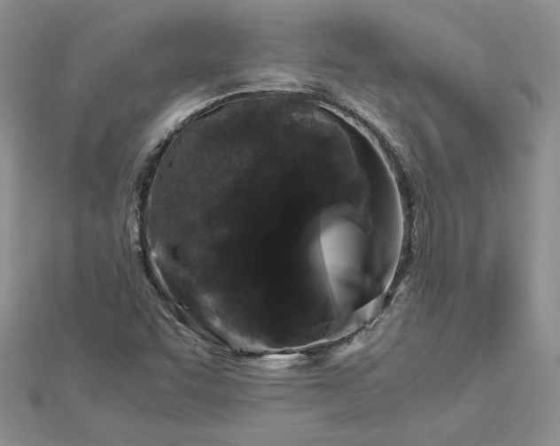 X0000112881455200909041632