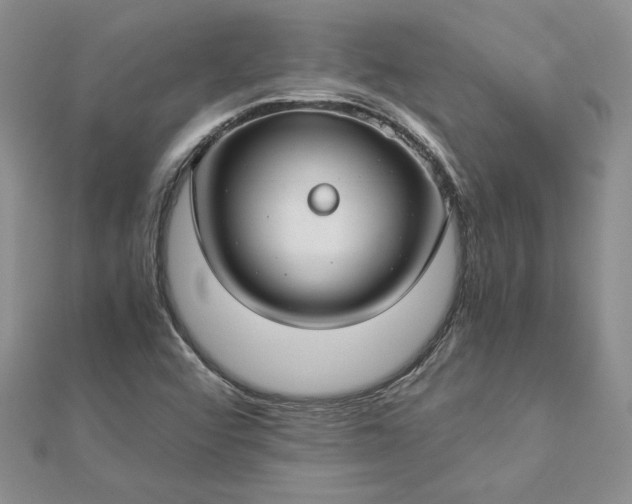 X0000112881456200909041632