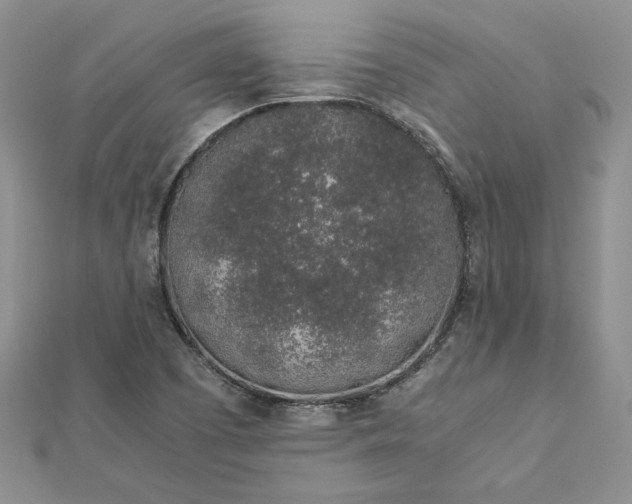 X0000112881457200909041632