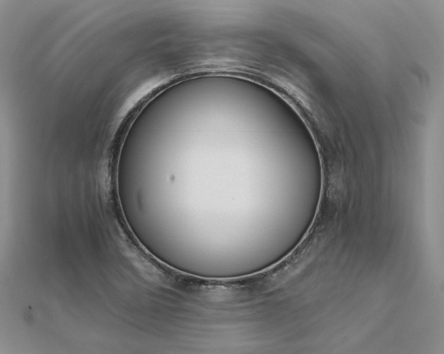 X0000112881458200909041632