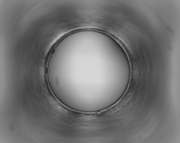 X0000112881460200909041631