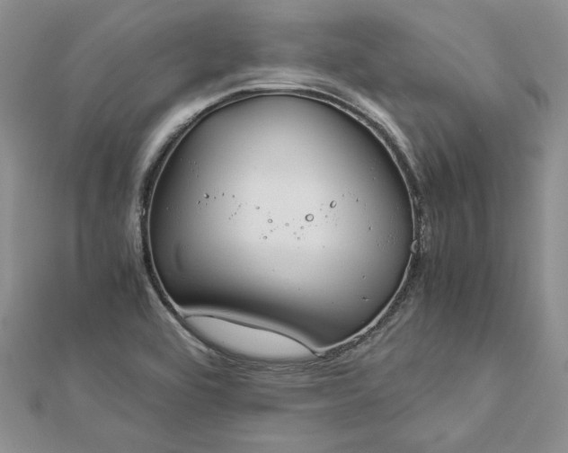 X0000112881464200909041631