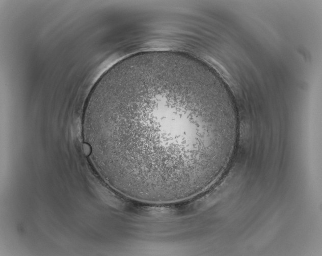 X0000112881465200909041631