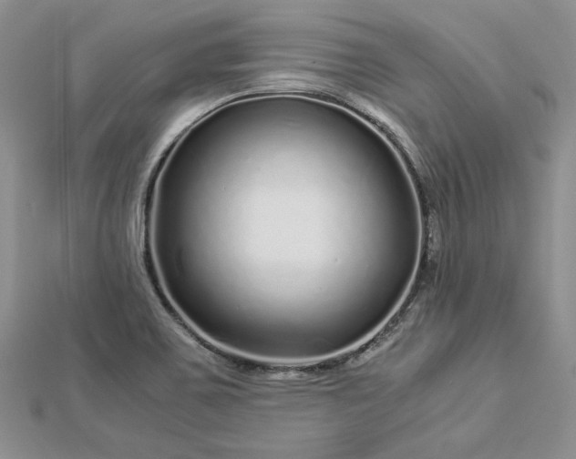 X0000112881467200909041631