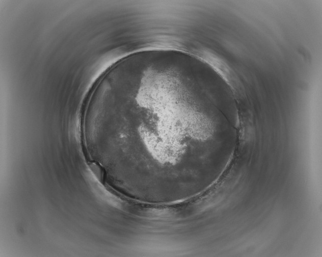 X0000112881468200909041631