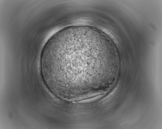 X0000112881469200909041631