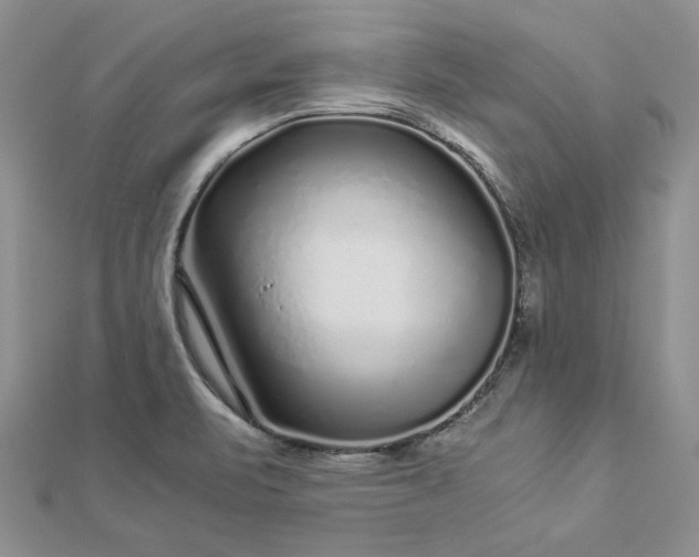 X0000112881471200909041631