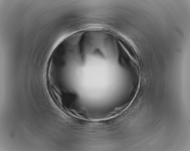 X0000112881475200909041631