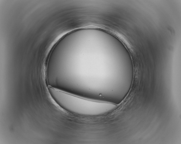 X0000112881476200909041631