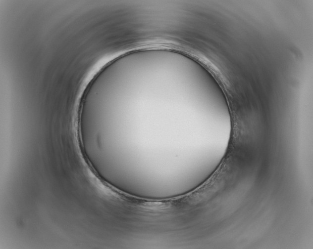 X0000112881478200909041631