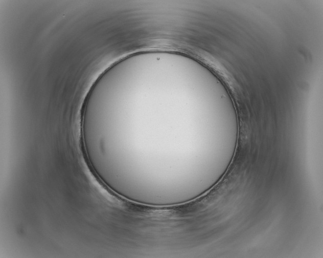 X0000112881479200909041631