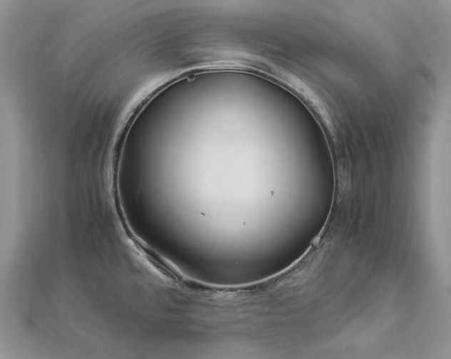 X0000112881480200909041631