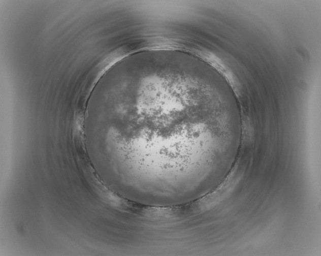 X0000112881481200909041631