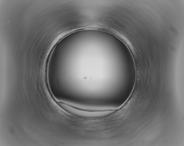 X0000112881483200909041631