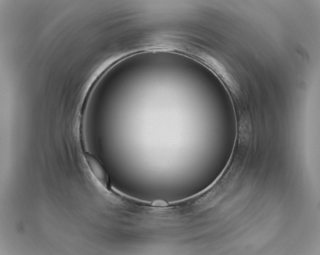 X0000112881484200909041631