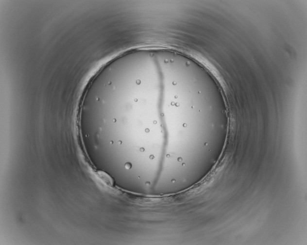 X0000112881485200909041631