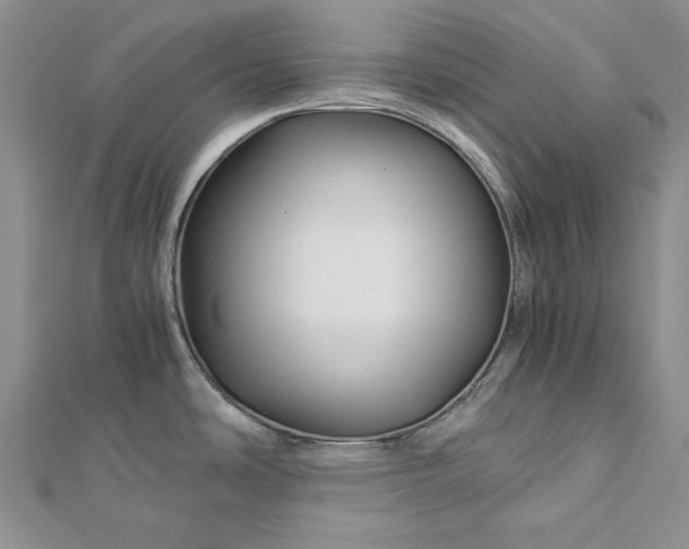 X0000112881486200909041631