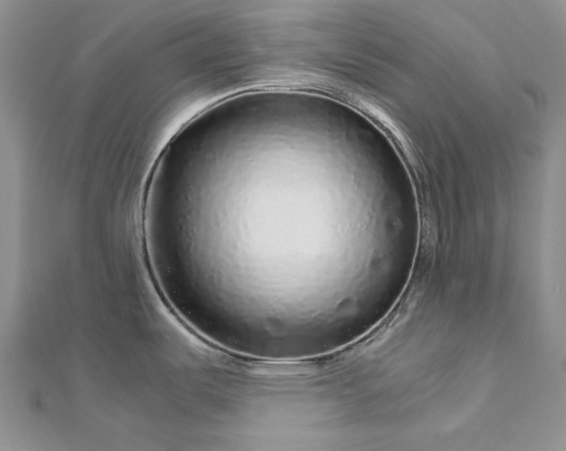 X0000112881487200909041631