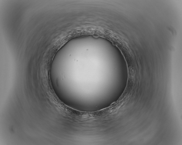 X0000112881489200909041630