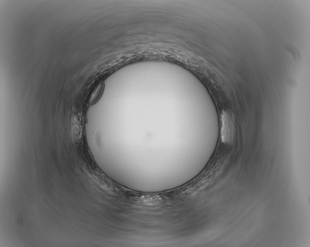 X0000112881491200909041630