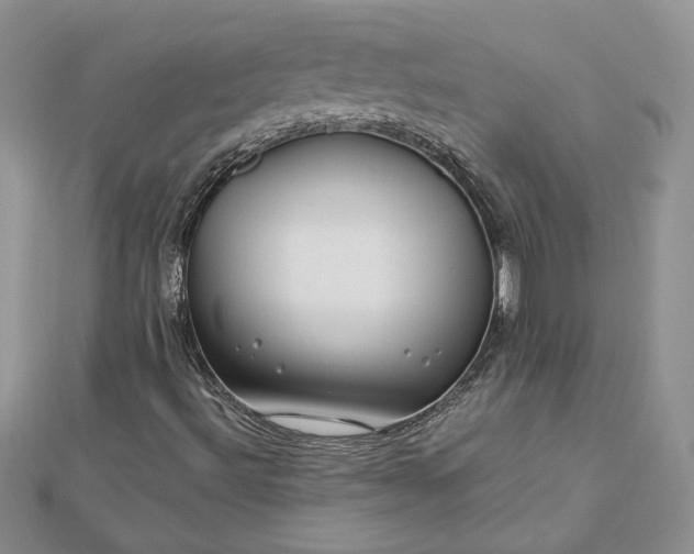 X0000112881492200909041630