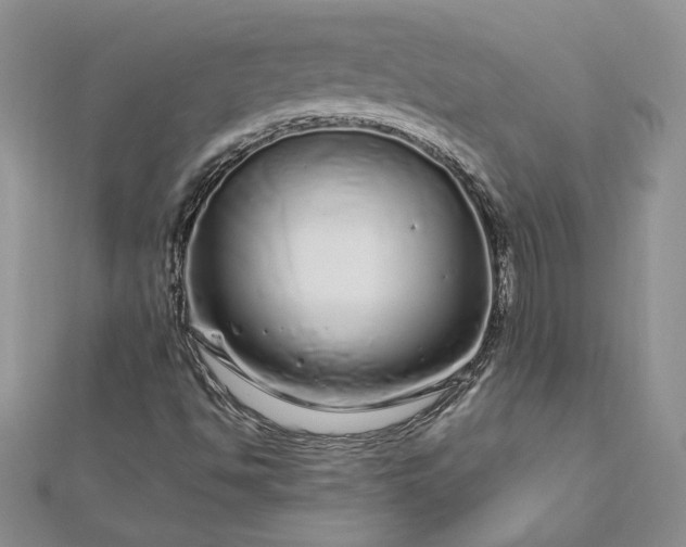 X0000112881494200909041630