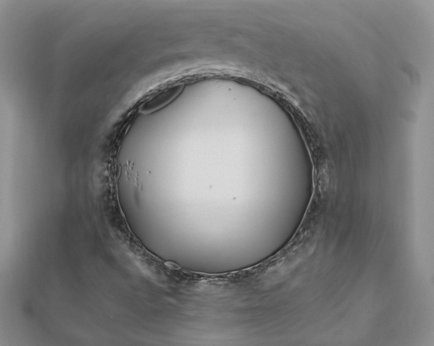 X0000112881496200909041630