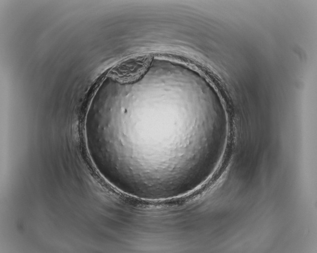 X0000112881497200909041630