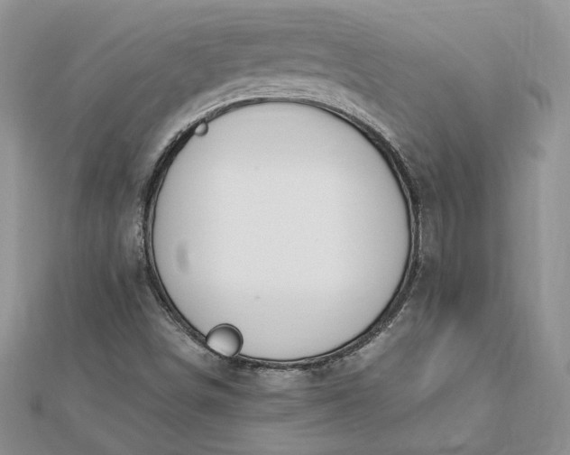 X0000112881498200909041630