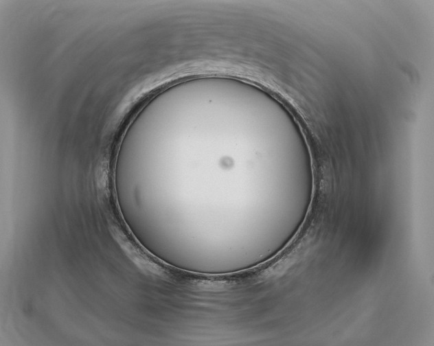 X0000112881499200909041630