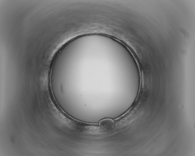 X0000112881500200909041630