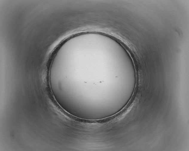 X0000112881502200909041630