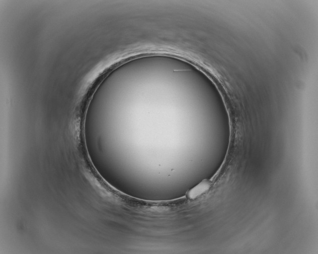 X0000112881503200909041631