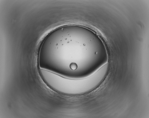 X0000112881504200909041631