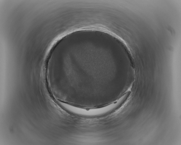 X0000112881506200909041631