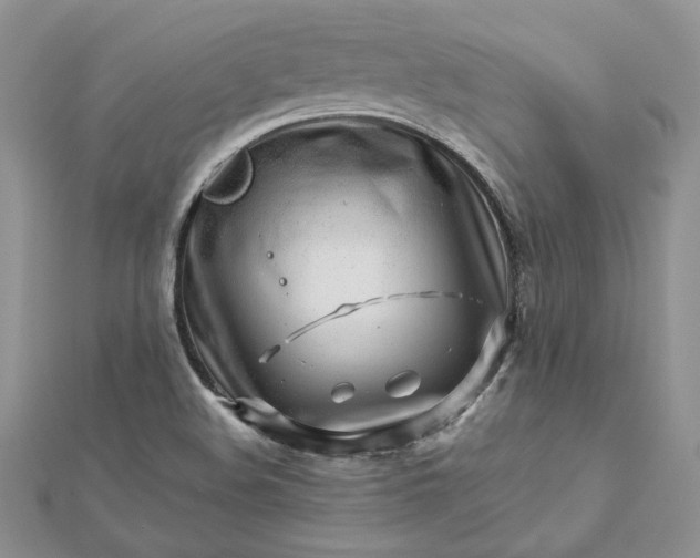 X0000112881508200909041631