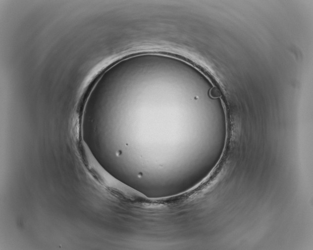 X0000112881509200909041631