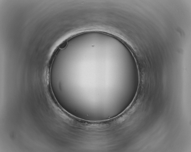 X0000112881510200909041631