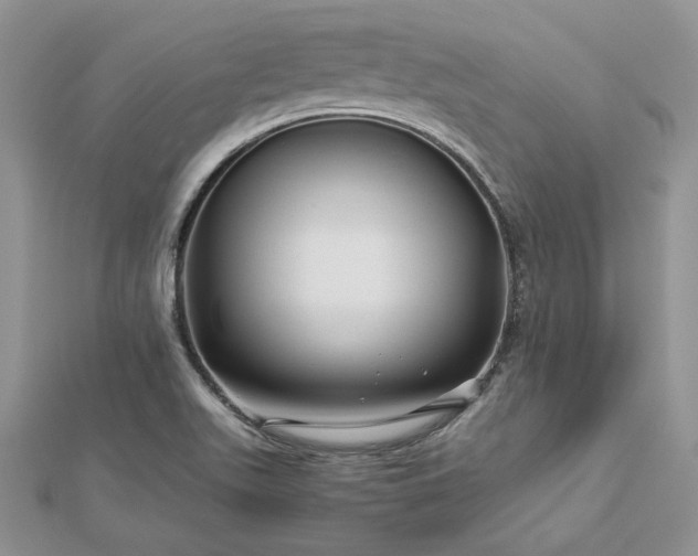 X0000112881511200909041631