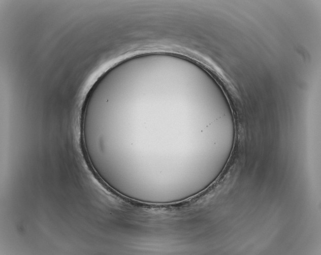 X0000112881512200909041631