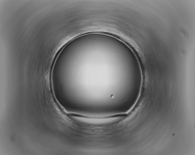 X0000112881513200909041631